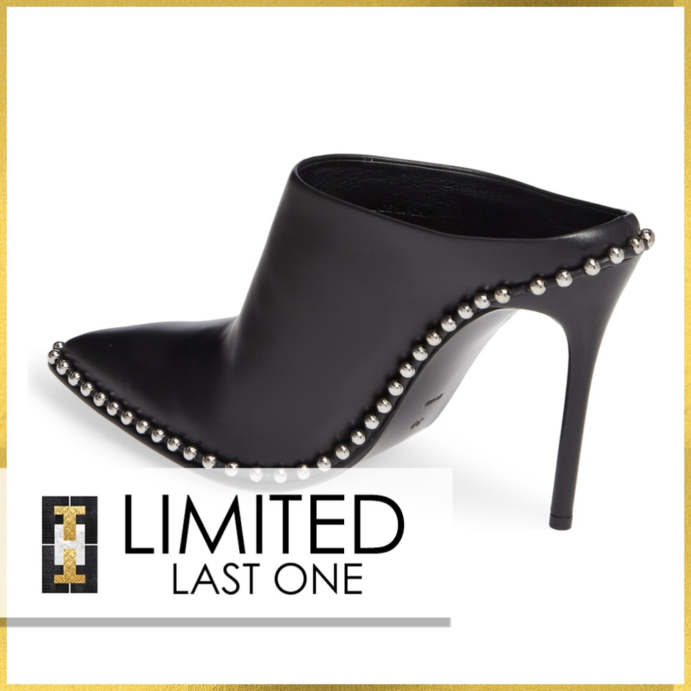 ❣️SOLD❣️ALEXANDER WANG ERI STUDDED MULES